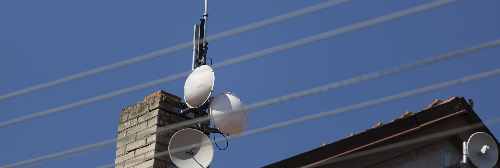 Untitled (1600 × 540 px) (6)