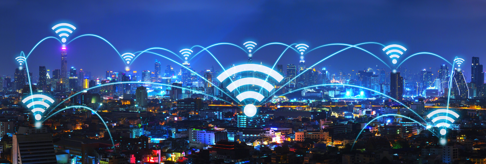 Untitled (1600 × 540 px) (7)